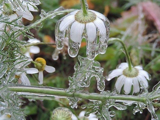 Подборка красочных фото и картинок с надписью со смыслом Подборка красочных фото и картинок с надписью со смыслом