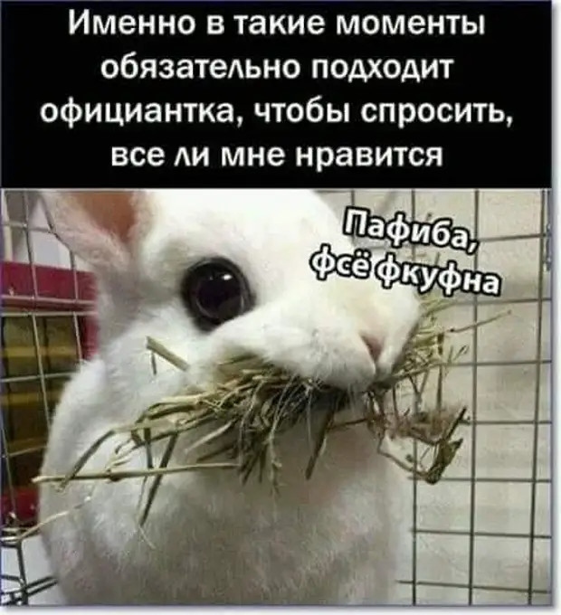 Два парня подходят к таксисту и говорят: - До вокзала троих довезешь? - Но вас же двое?! - А ты чё с нами не поедешь? Два парня подходят к таксисту и говорят: - До вокзала троих довезешь? - Но вас же двое?! - А ты чё с нами не поедешь? каплю, Выпила, пришел, уснула, Карла, зайти, английская, домой, немецкая, французская, обещал, пахнет, Красный, клубникой, запахами, жёлтый, различными, фломастеры, конечноКупил, Каккак…