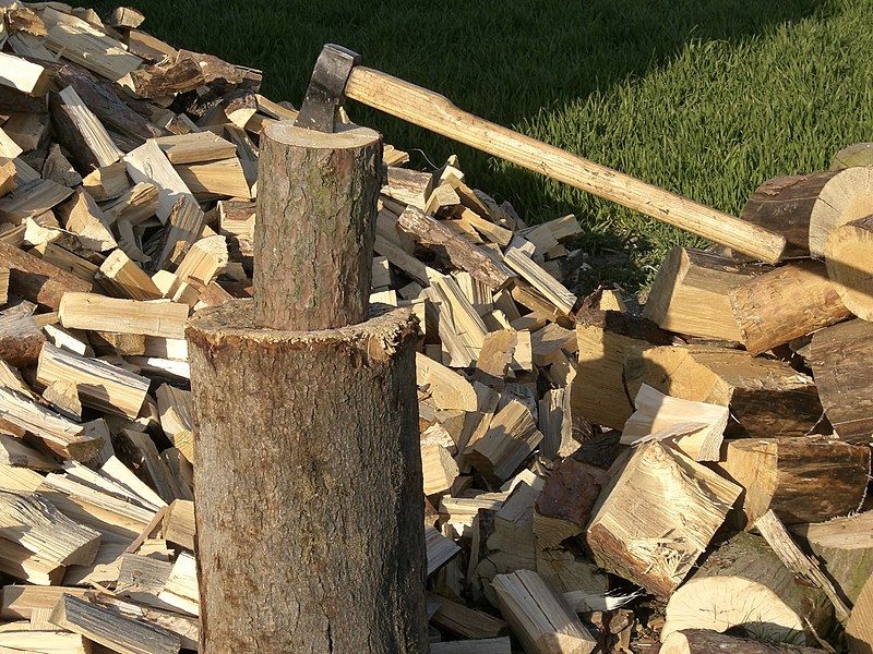 Bloomberg: Румыния занялась ценами на дрова в попытке не замерзнуть зимой