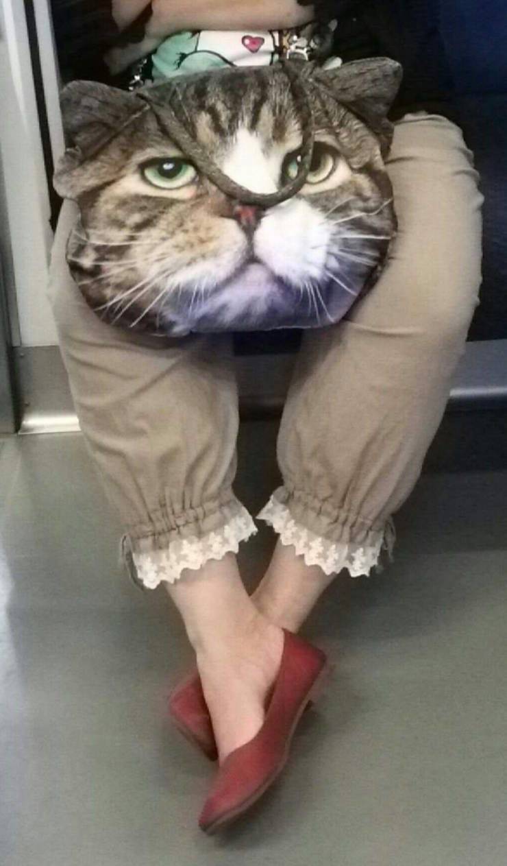 Подборка прикольных картинок Подборка прикольных картинок приколы,смешные картинки,юмор