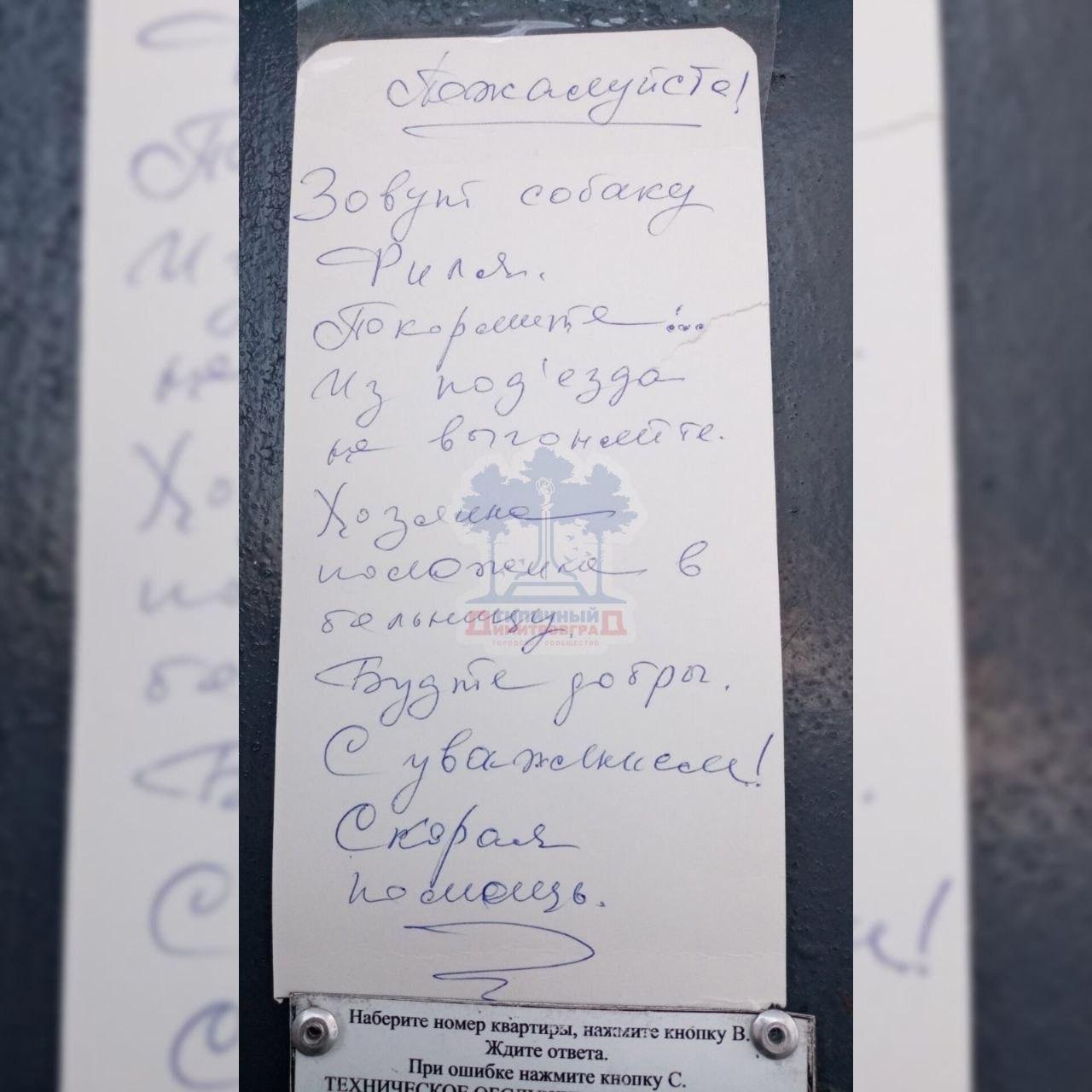 Сотрудники «скорой» в Ульяновской области оставили в подъезде записку с просьбой позаботиться о собаке госпитализированного пациента