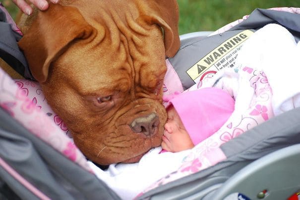 Meeting His New Sister For The First Time