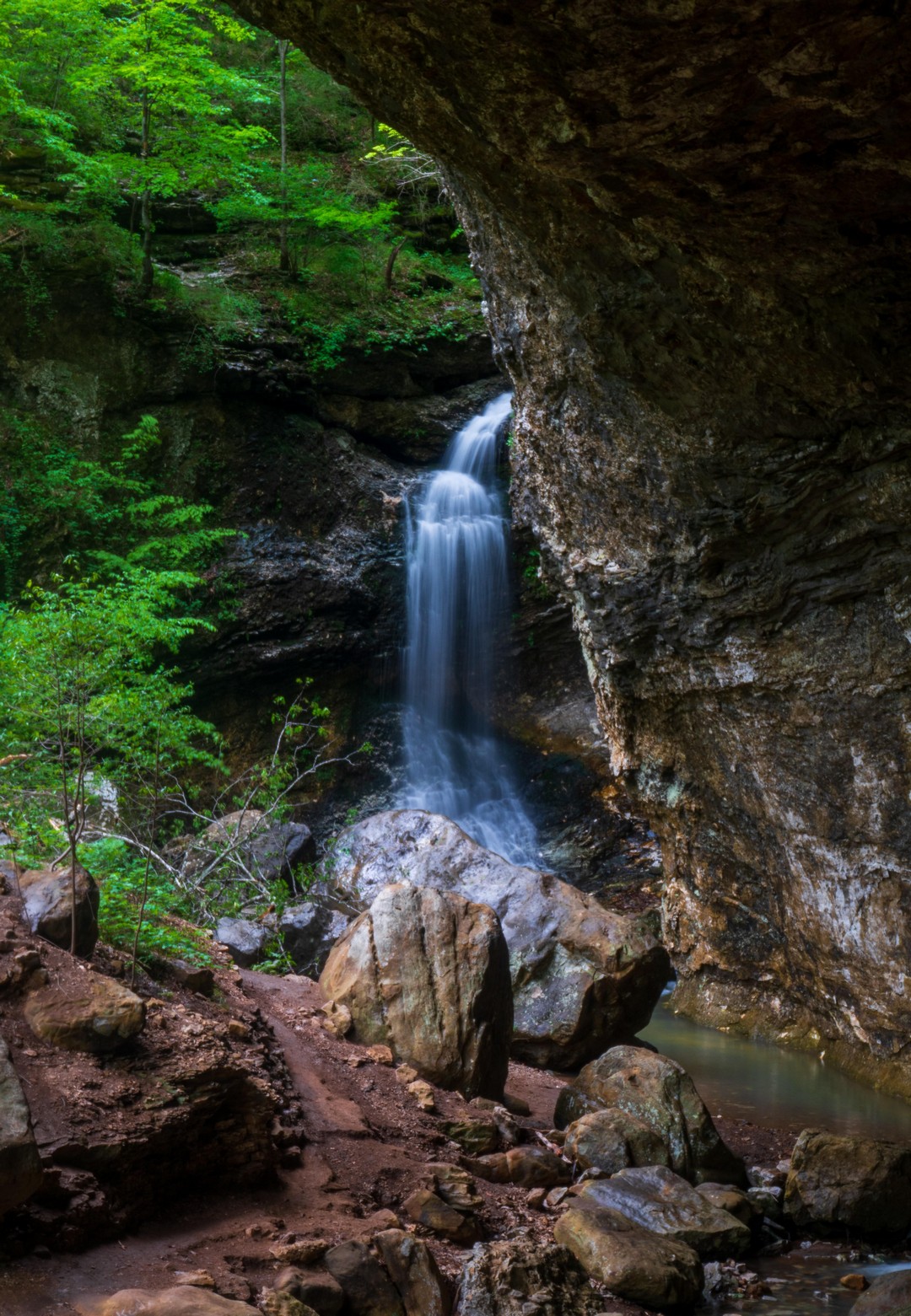 Красота природы на фотографиях