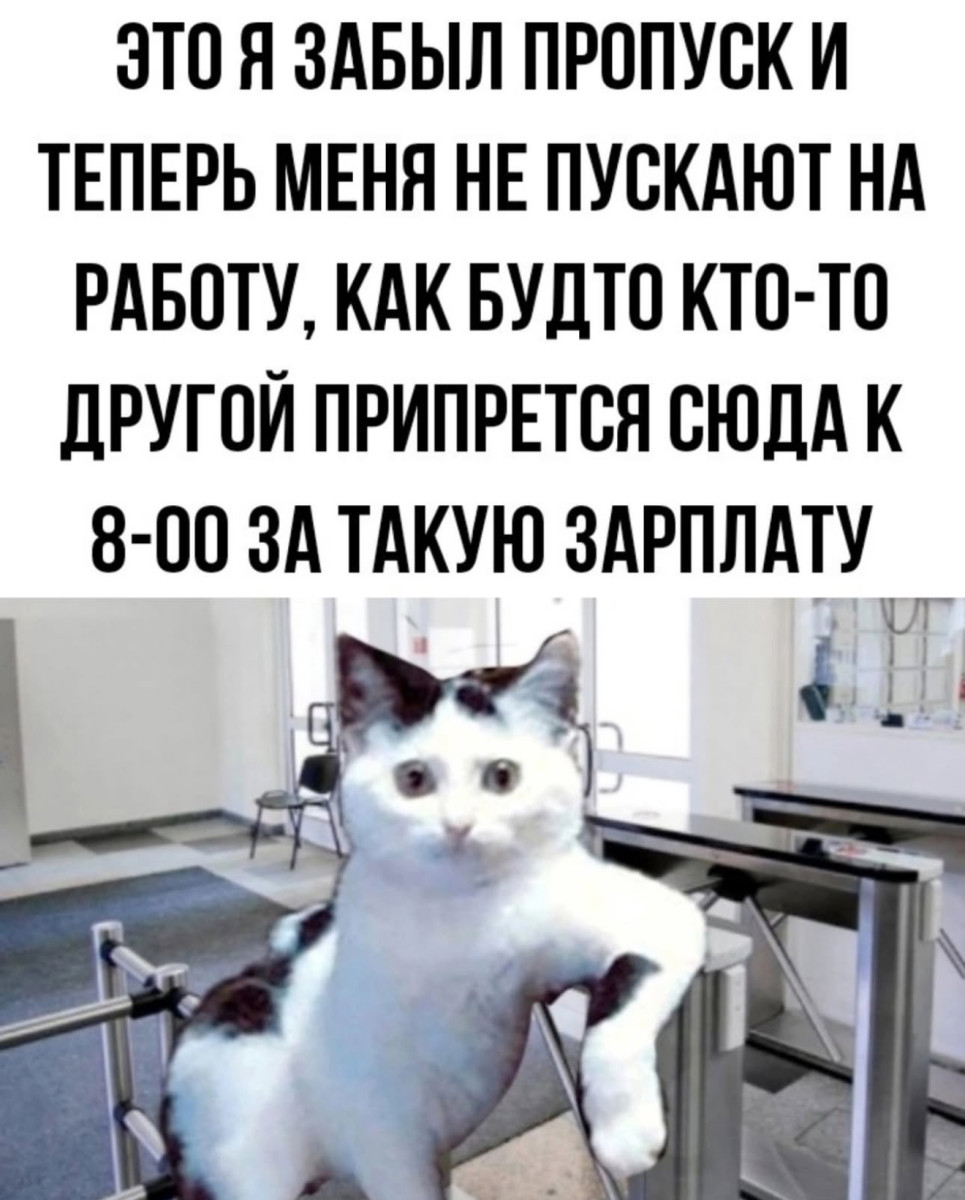 Звонок будильника означает, что лучшая часть суток уже закончилась... Звонок будильника означает, что лучшая часть суток уже закончилась...