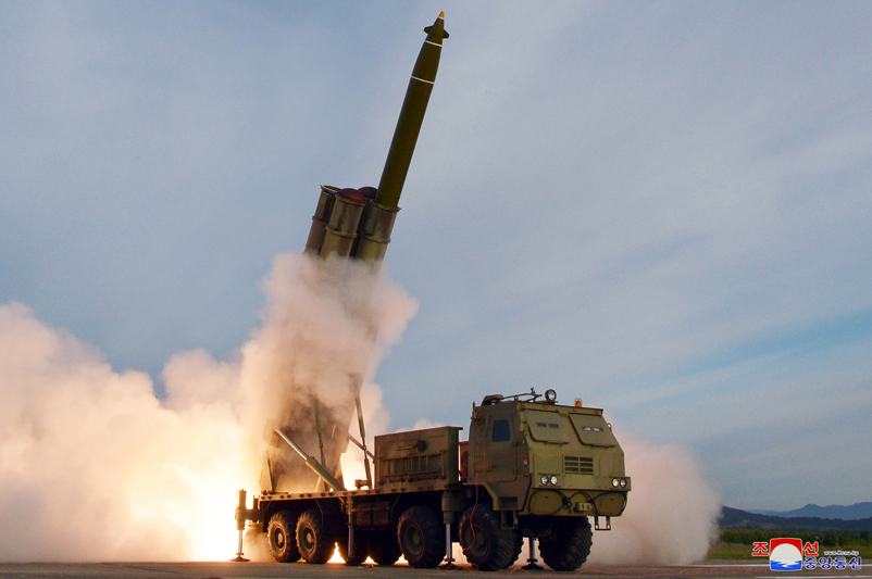 Северная Корея выпускает одни из лучших в мире РСЗО и САУ оружие,респ,Мордовия [144932]