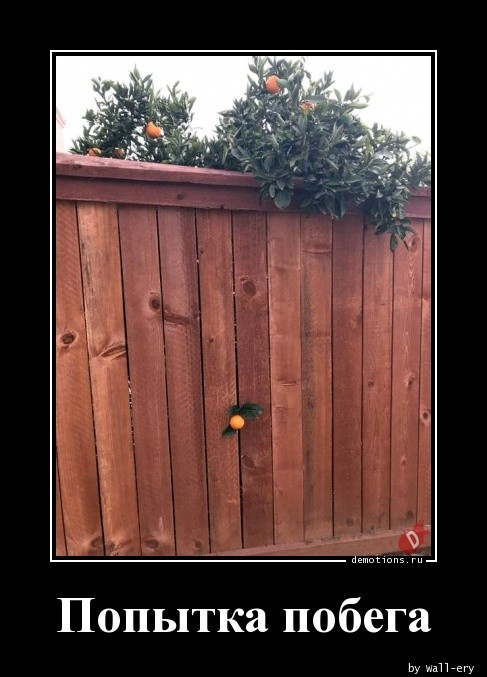 Демотиваторы в конце рабочей недели: «Сбой алгоритма» Демотиваторы в конце рабочей недели: «Сбой алгоритма»