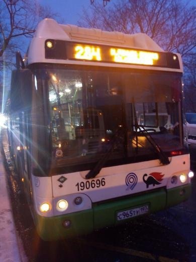 «В столице жизнь бьет ключом»: Среднеазиатский водитель остановил автобус и решил, что весь мир его