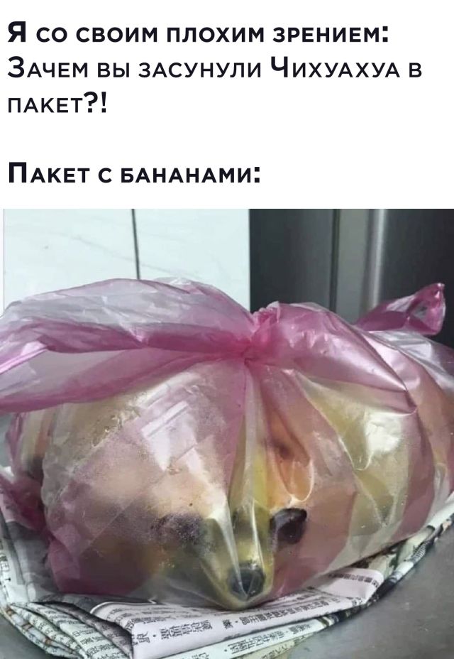 Подборка прикольных картинок 