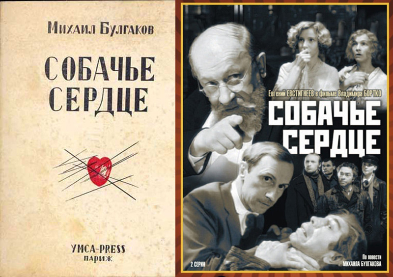 «Собачье сердце» М. Булгаков (Собачье сердце, 1988) кино, книги, фильм