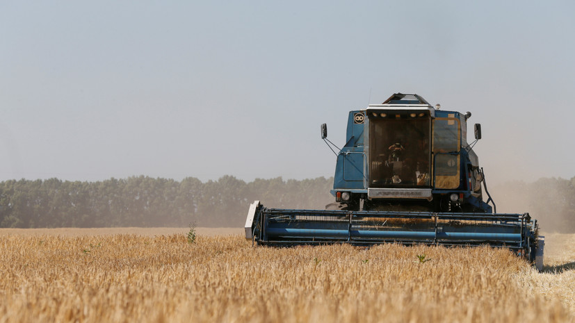 «Подозрение на использование запрещённых пестицидов»: в ЕС подняли вопрос о контроле за качеством украинского зерна