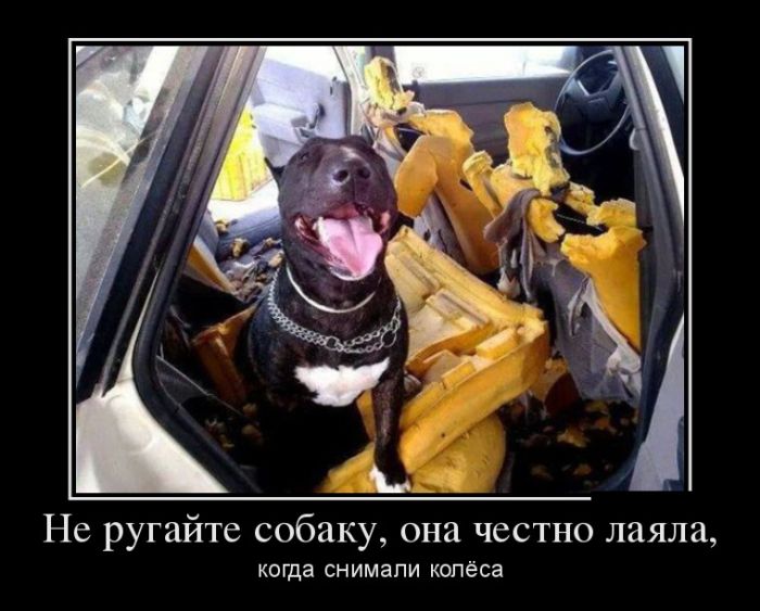 Прикольные демотиваторы из нашей жизни 