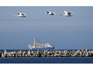 Уничтожение "Северного потока" - детонатор гибели Европы