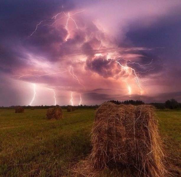 Коллекция эмоциональных снимков. Часть 50 (59 фото)