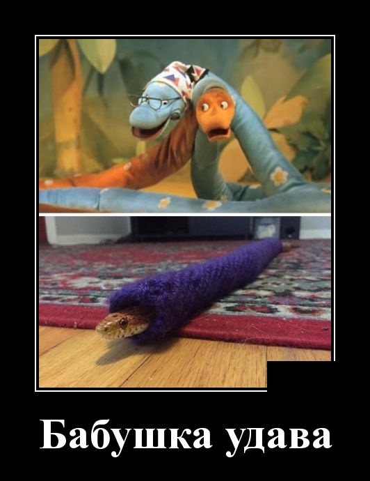 Женщина — как театр, сегодня комедия, завтра трагедия, а послезавтра гастроли в другом городе Женщина — как театр, сегодня комедия, завтра трагедия, а послезавтра гастроли в другом городе анекдоты,демотиваторы,приколы,юмор