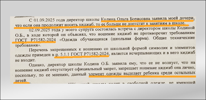    Мать девочки "забыла" упомянуть в жалобе, что её муж устроил в школе скандал // Скриншот обращения