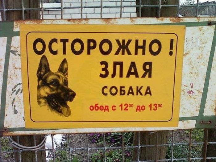 Маразмики картинки,юмор