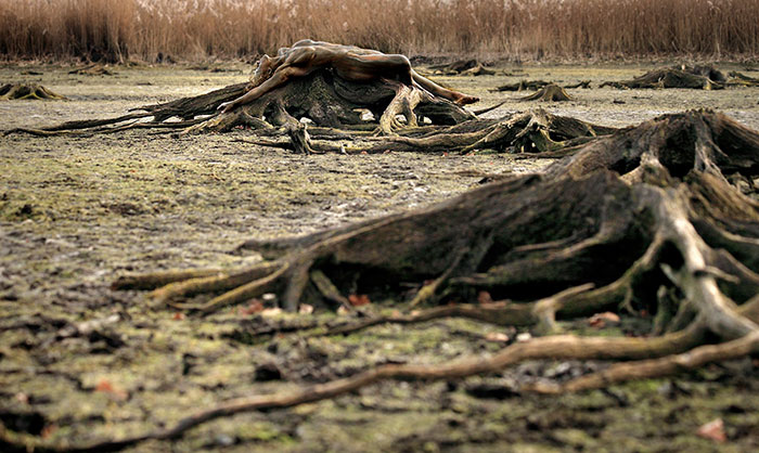 Попробуйте найти голую девушку на фотографии Путешествия,фото
