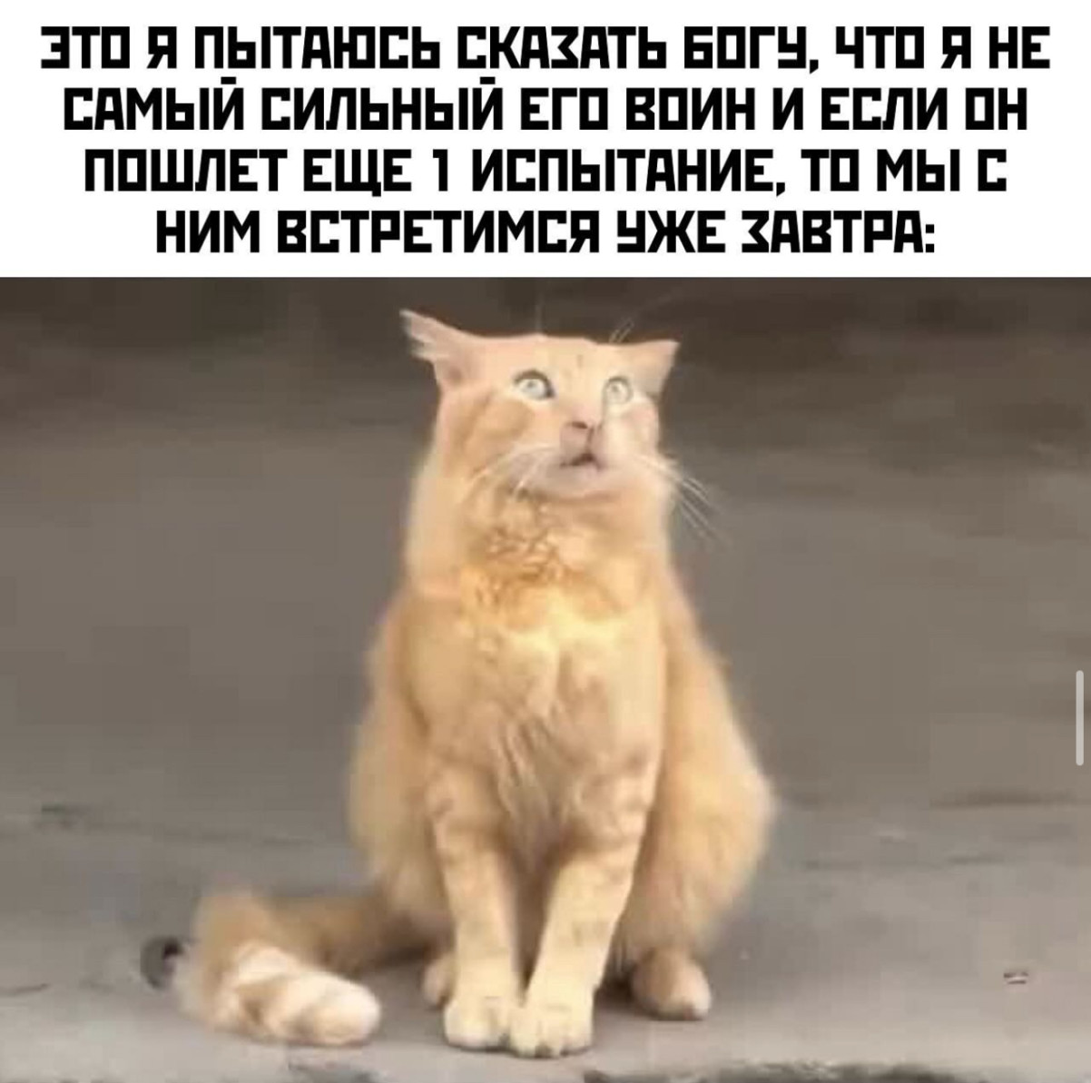 Звонок будильника означает, что лучшая часть суток уже закончилась... Звонок будильника означает, что лучшая часть суток уже закончилась...