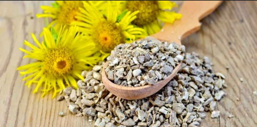 Отличные рецепты от хронического бронхита: из тетради врача