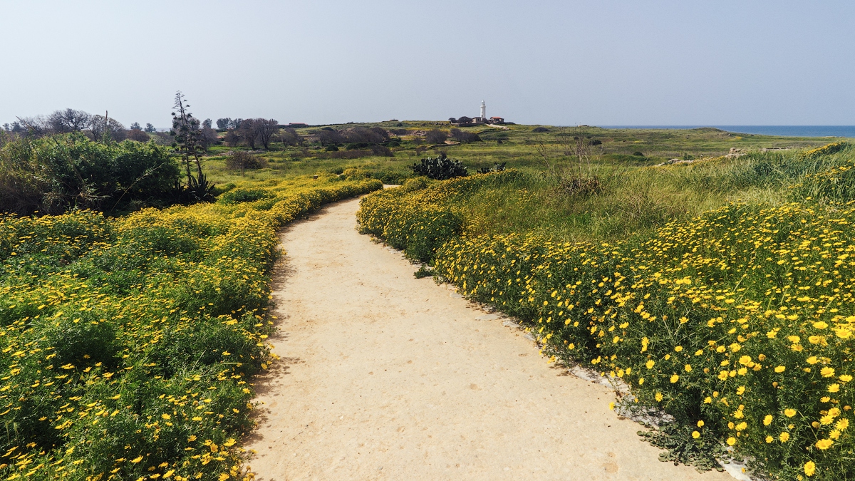 Пафосное фотопутешествие Пафосное фотопутешествие