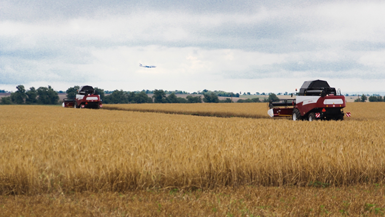 Крым ответил бурным аграрным ростом на выходки Украины с Северо-Крымским каналом Крым ответил бурным аграрным ростом на выходки Украины с Северо-Крымским каналом Общество