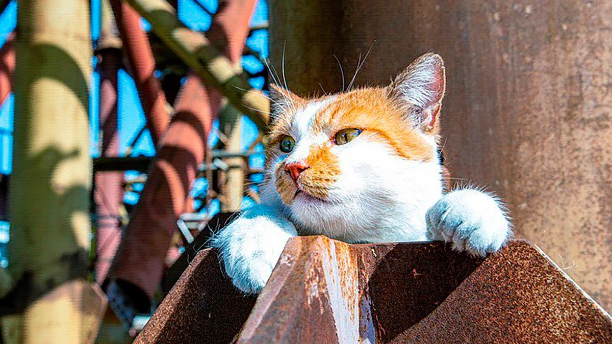 Монтажники