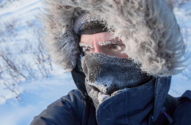 Правила жизни за полярным кругом 