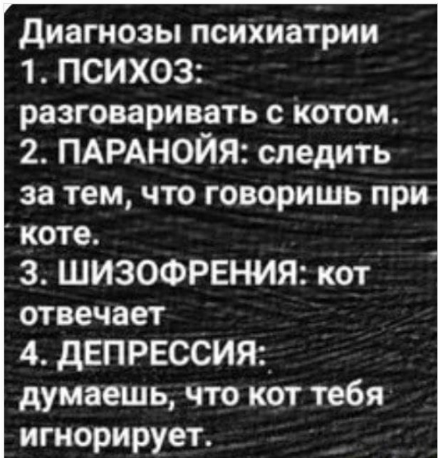 Какой у вас котопсихоз... котом, котеями, контролирует, есть У, исследование, нибудь, брякнуть, чтобы, разговор, может, вобще, отношения, побеседовать, жизнь, своим, можете, разговариваете, Общаетесь, беседуете