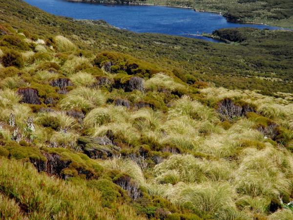 Арктическое озеро Ванда авиатур