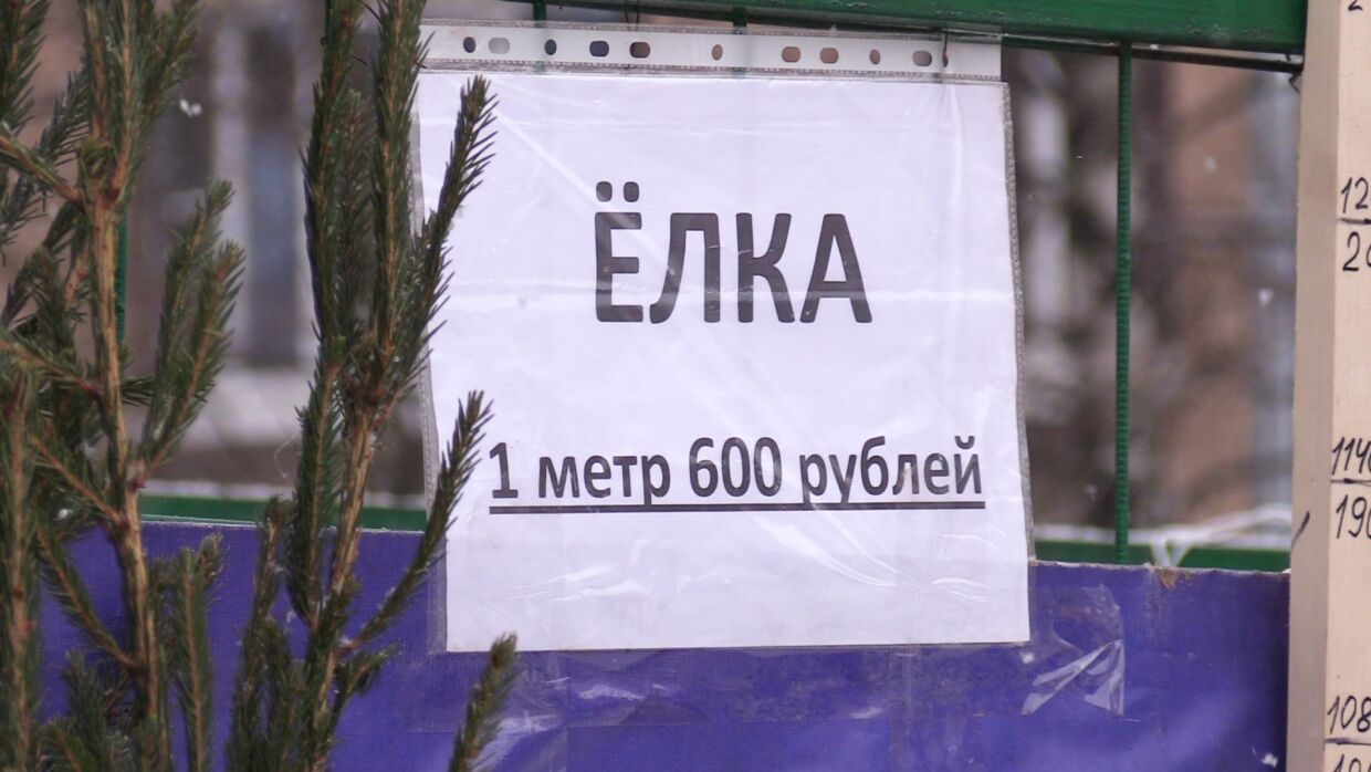 Владельцы елочных базаров в Пензе массово избавляются от непроданной продукции