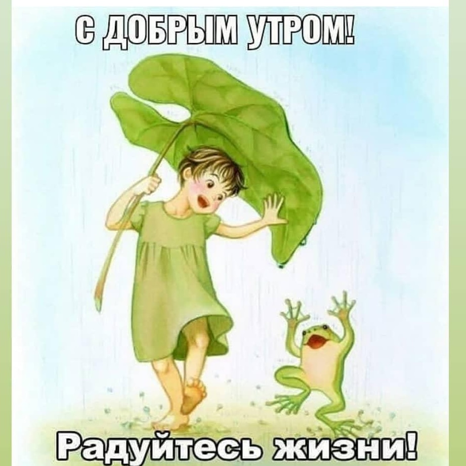 Подборка юмора, который творит чудеса с настроением