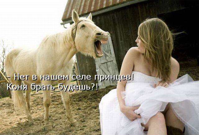 Классные шутки: свежая подборка юмора Классные шутки: свежая подборка юмора