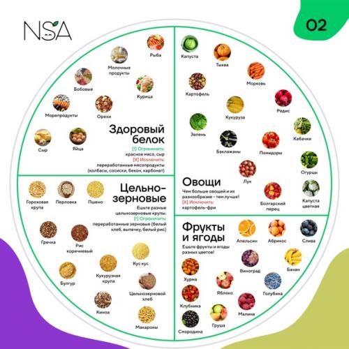 Тарелка здорового питания: чем её наполнить. 02