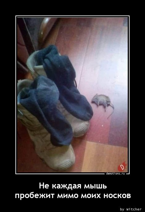 Демотиваторы нового дня: «Лети на море!» Демотиваторы нового дня: «Лети на море!»