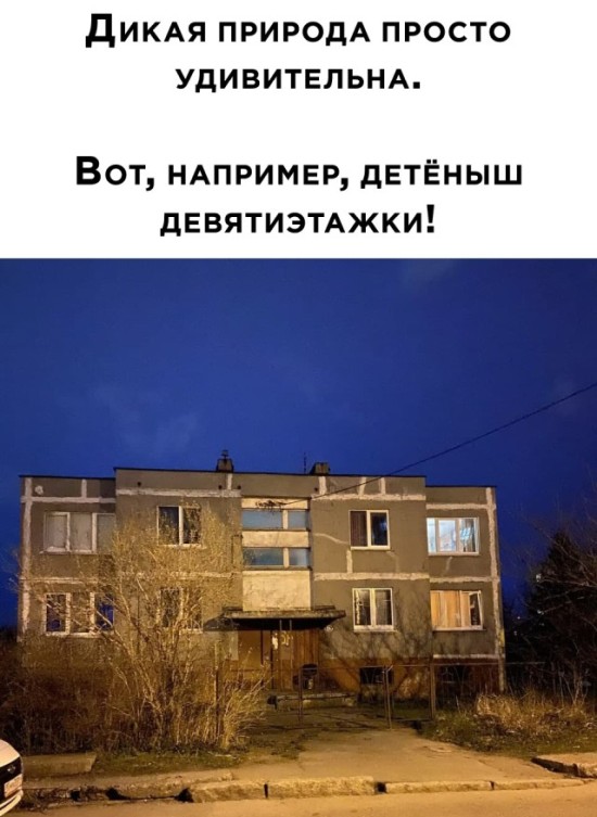 Подборка прикольных картинок 