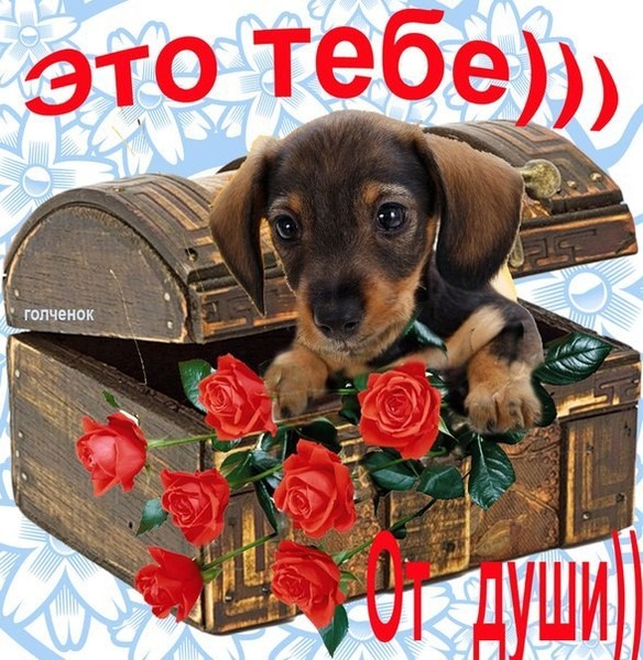 Торт свечами, ты такая классная открытка