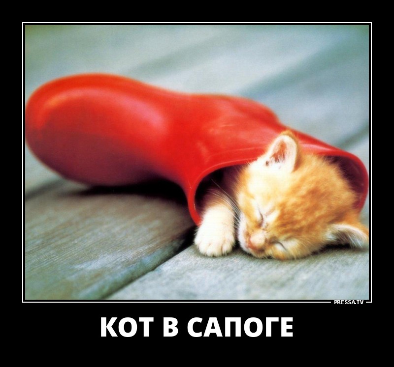 Позитивные демотиваторы для хорошего настроения на весь день Позитивные демотиваторы для хорошего настроения на весь день