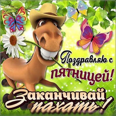 Смешные анекдоты и шуточки в картинках