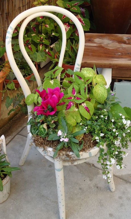 Цветник для дачи из подручных средств. Для тех, кто любит нестандартные идеи. handmake,поделки для сада