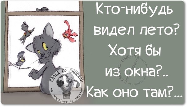 Веселые картинки с фразочками