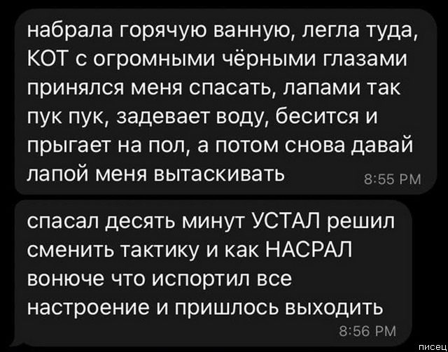 100% приколы из социальных сетей. Великолепно 100% приколы из социальных сетей. Великолепно позитив,смешные картинки,юмор