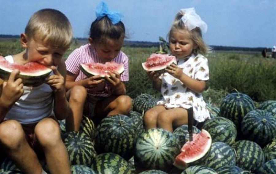 В СССР продавали самые сладкие арбузы? 9 интересных фактов