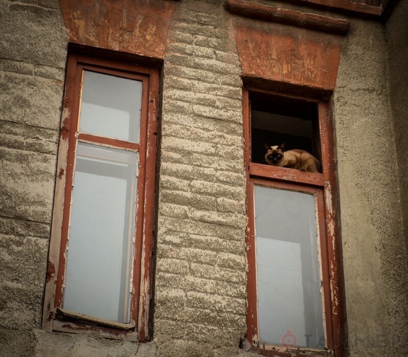 Одесская Молдаванка: трущобная романтика, автокладбища и руины архитектурных экспериментов 
