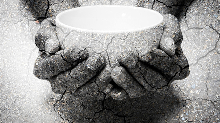 ВМЕСТО COVID-19 ВСЕМИРНЫЙ ГОЛОД-22: НОВАЯ ЗАПАДНЯ