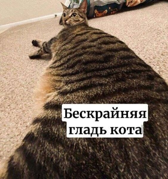 Юмор для тех, кто уже повзрослел и понял, что «встретиться» — это пообещать и не встретиться 