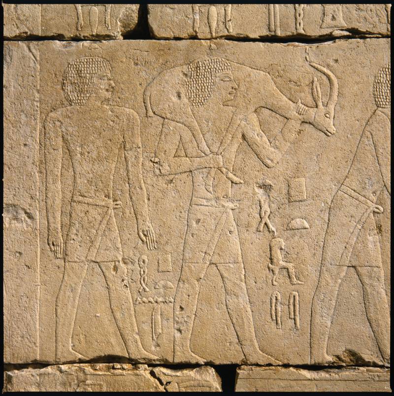 Экспедиция к предкам. Разлив Нила – явление не из простых история