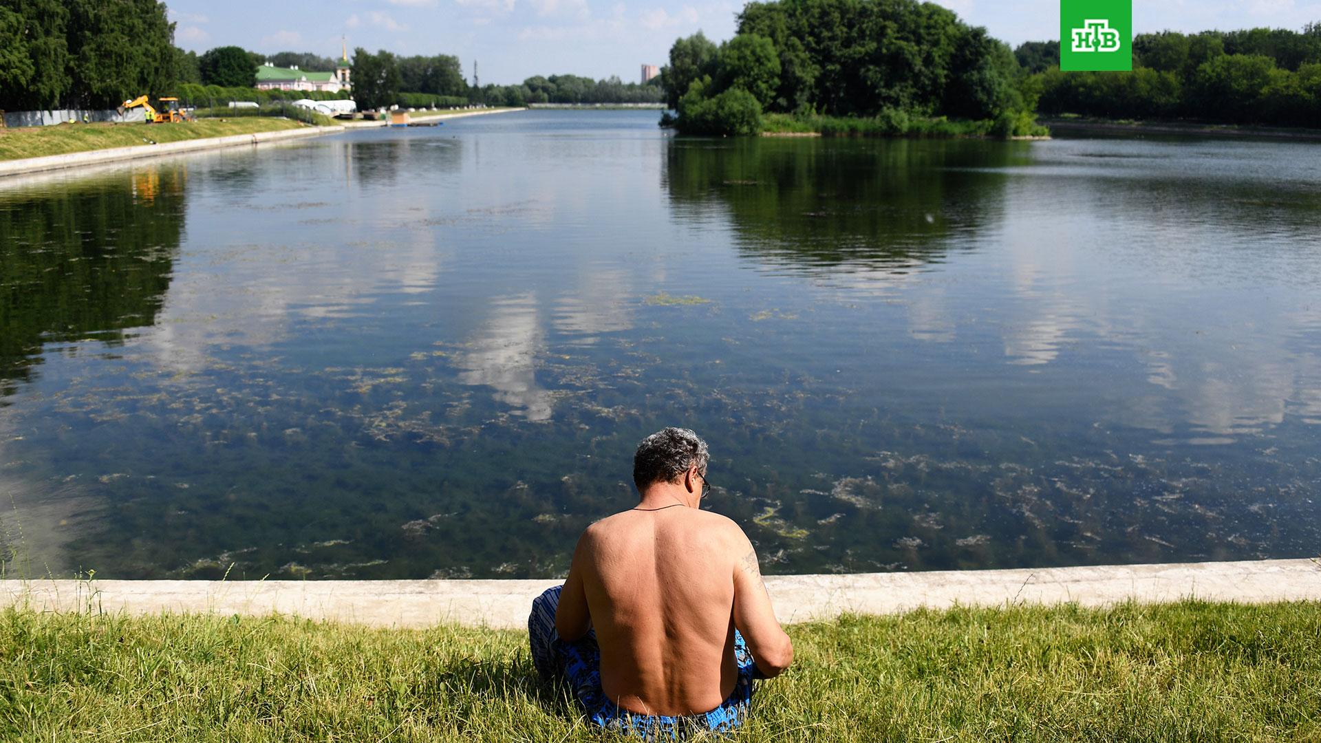 Вильфанд: вода в реках и озерах Москвы прогрелась лучше, чем в Чёрном море