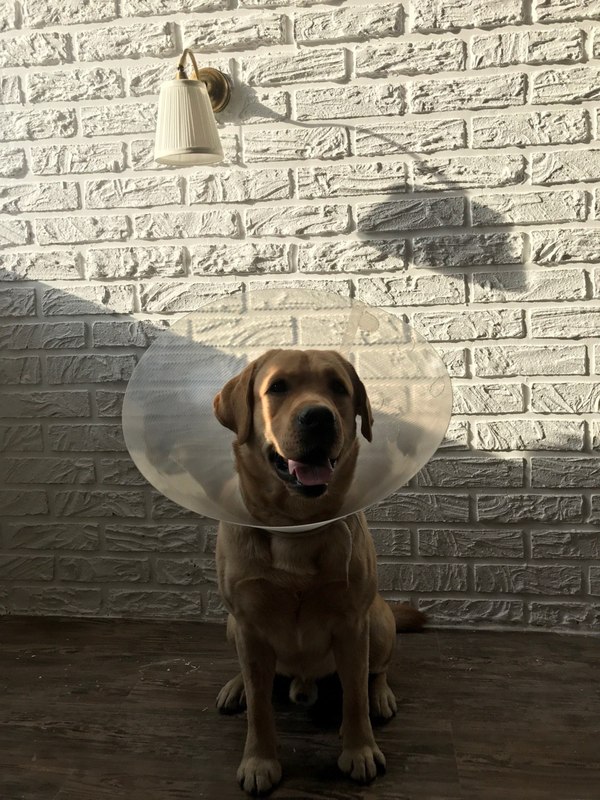 Личный опыт декорирования стены под кирпич Личный опыт декорирования стены под кирпич декорирование стены