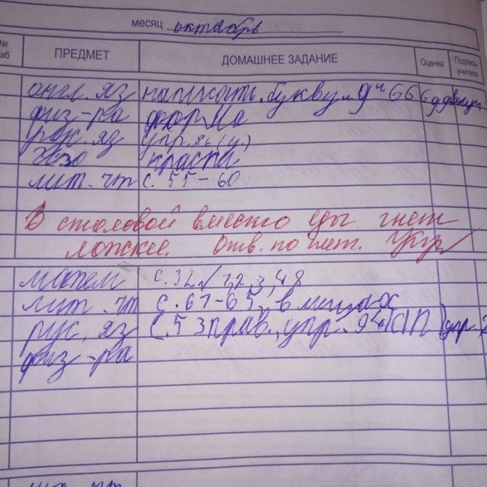 15 замечаний в школьных дневниках, от которых у родителей волосы встают дыбом 15 замечаний в школьных дневниках, от которых у родителей волосы встают дыбом