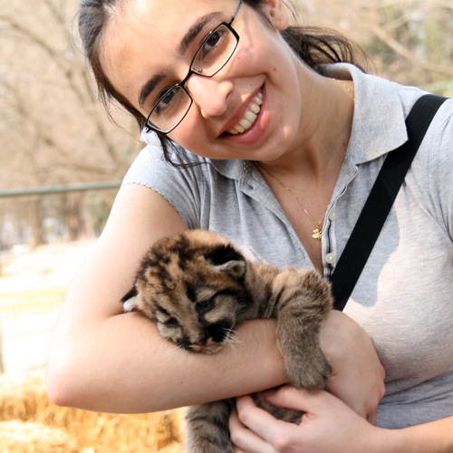 Самый опасный зоопарк в мире путешествие,страны,туризм